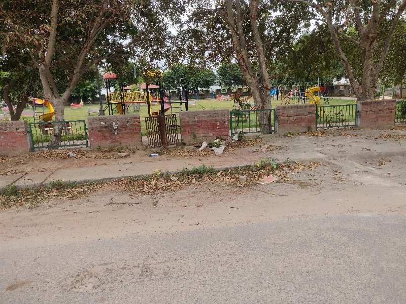 538 Sq. Yards Residential Plot for Sale in Sector 11, Bahadurgarh