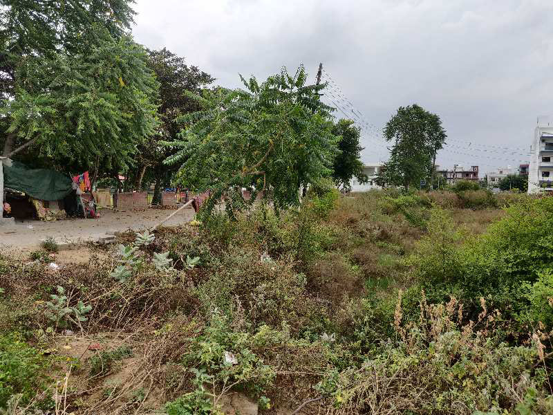 538.2 Sq. Yards Residential Plot for Sale in Sector 13, Bahadurgarh