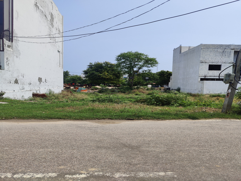 100 Sq. Yards Residential Plot for Sale in Sector 9, Bahadurgarh