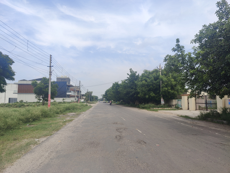 500 Sq. Yards Residential Plot for Sale in Sector 9, Bahadurgarh