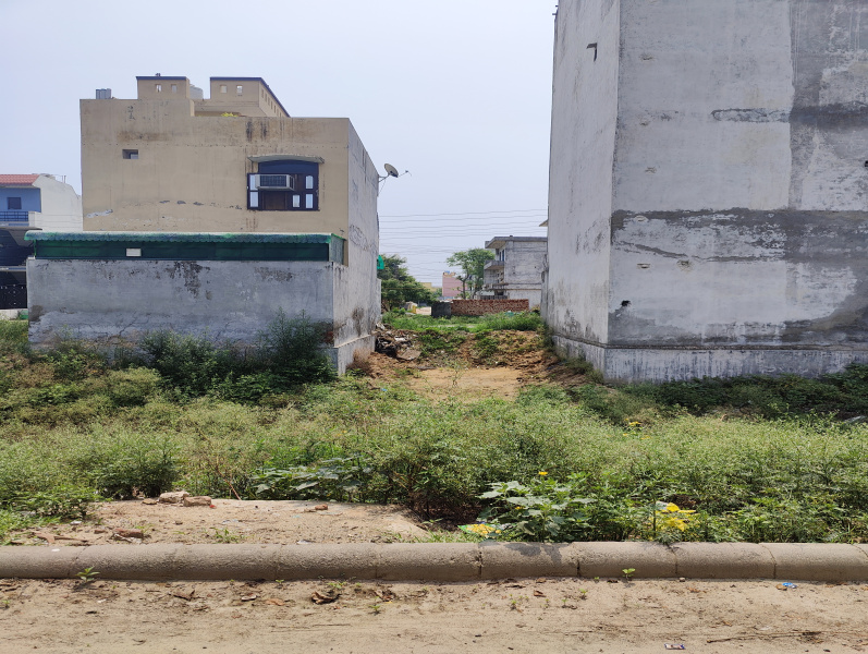 100 Sq. Yards Residential Plot for Sale in Sector 6, Bahadurgarh