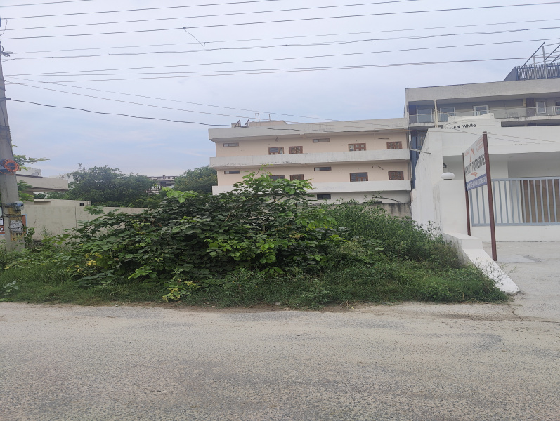100 Sq. Yards Residential Plot for Sale in Sector 6, Bahadurgarh