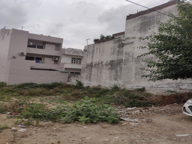 250 Sq. Yards Residential Plot for Sale in Sector 6, Bahadurgarh
