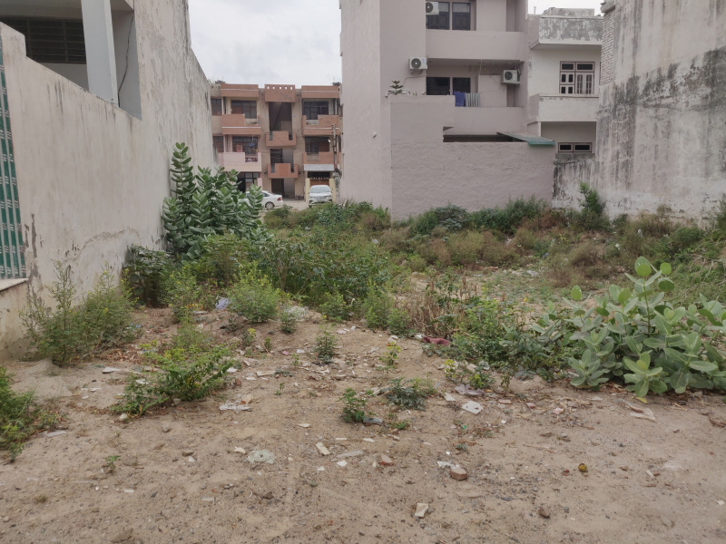 250 Sq. Yards Residential Plot for Sale in Sector 6, Bahadurgarh