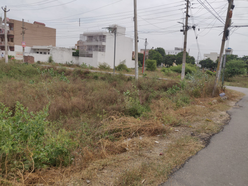 350 Sq. Yards Residential Plot for Sale in Sector 6, Bahadurgarh