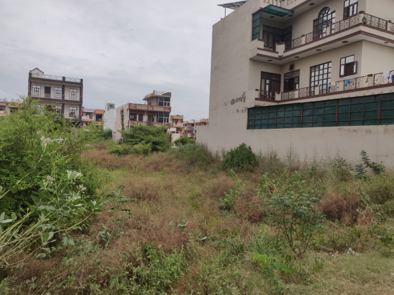 500 Sq. Yards Residential Plot for Sale in Sector 6, Bahadurgarh