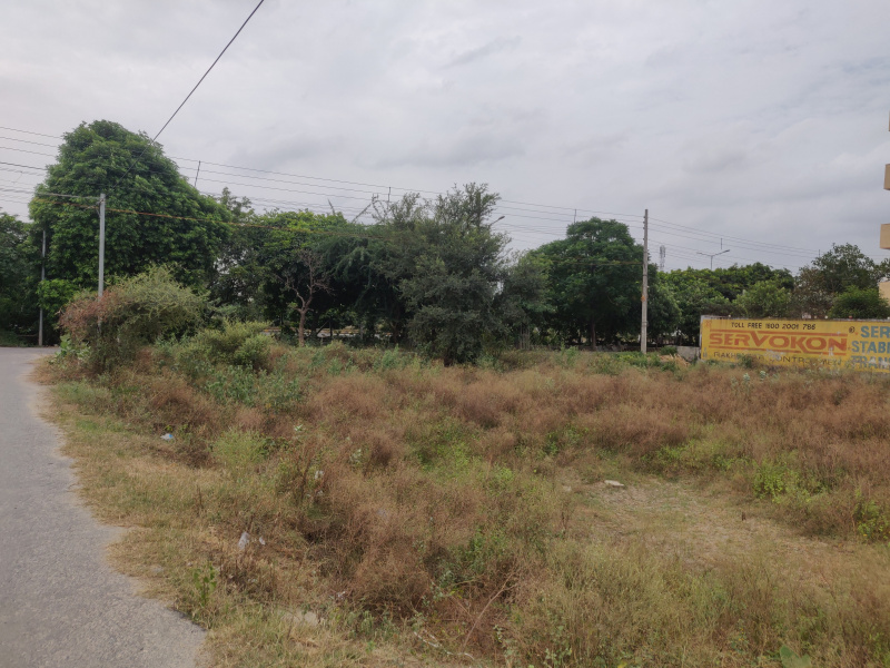 350 Sq. Yards Residential Plot for Sale in Sector 13, Bahadurgarh