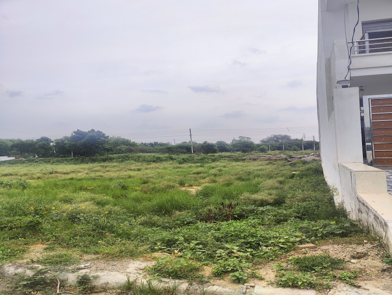 200 Sq. Yards Residential Plot for Sale in Sector 2, Bahadurgarh