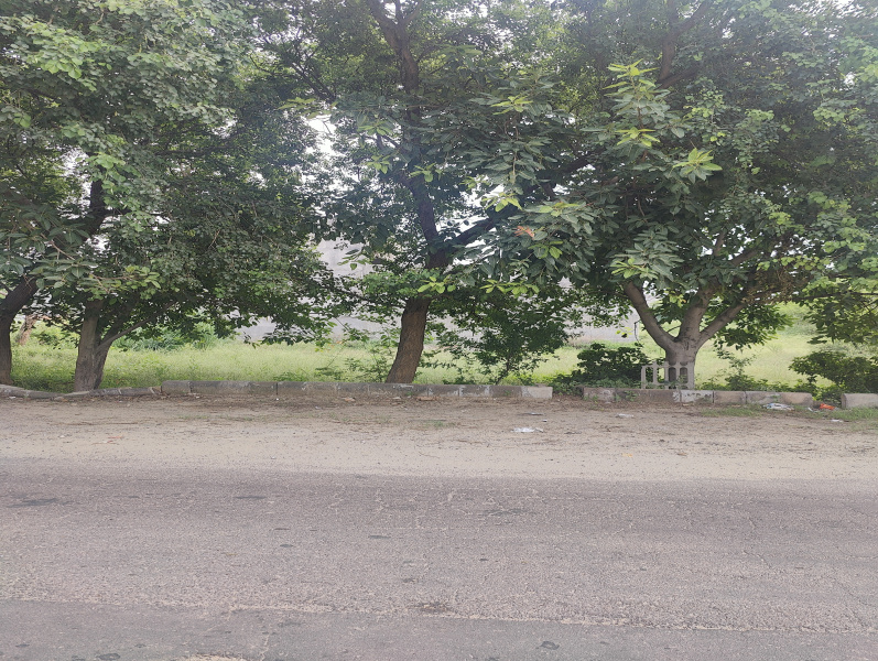 60 Sq. Yards Residential Plot for Sale in Sector 2, Bahadurgarh