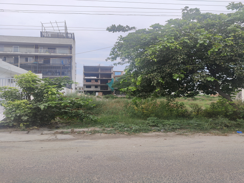 100 Sq. Yards Residential Plot for Sale in Sector 10, Bahadurgarh