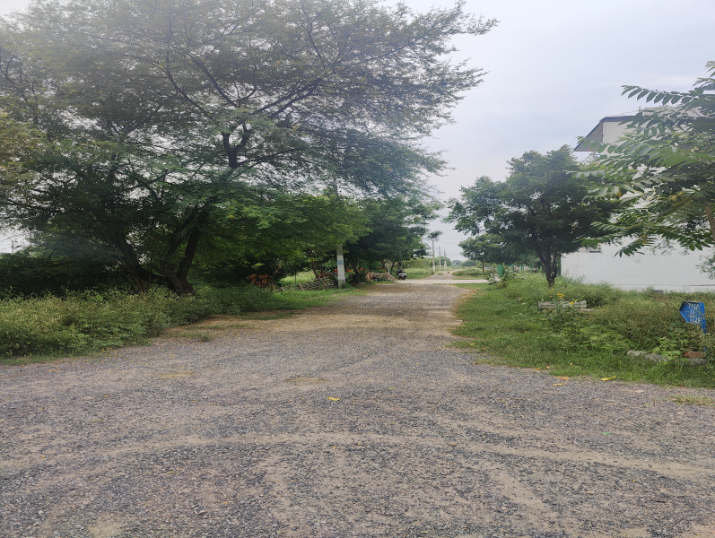200 Sq. Yards Residential Plot for Sale in Sector 10, Bahadurgarh