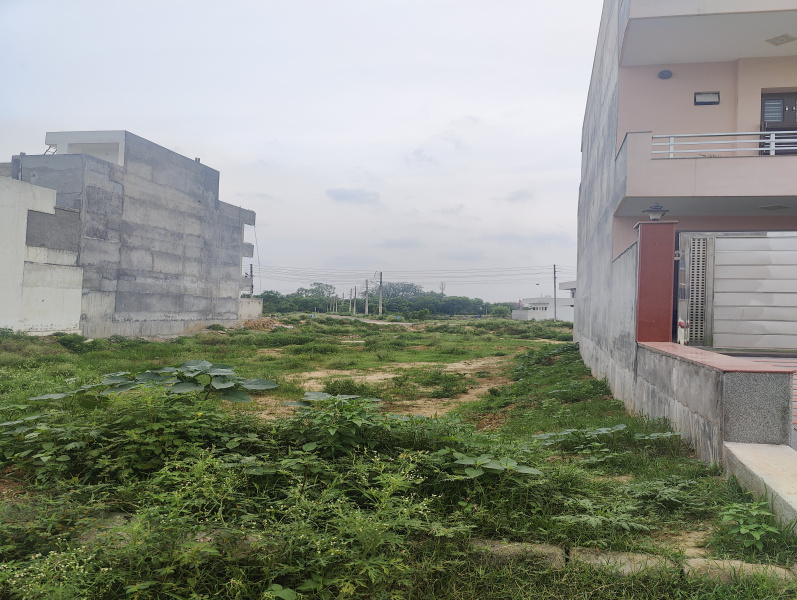 350 Sq. Yards Residential Plot for Sale in Sector 10, Bahadurgarh