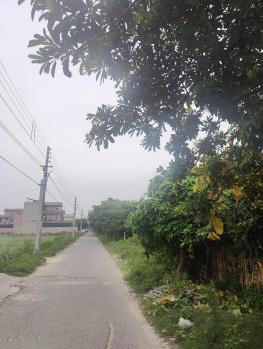 Property for sale in Sector 11 Bahadurgarh