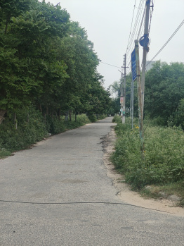 Property for sale in Sector 11 Bahadurgarh
