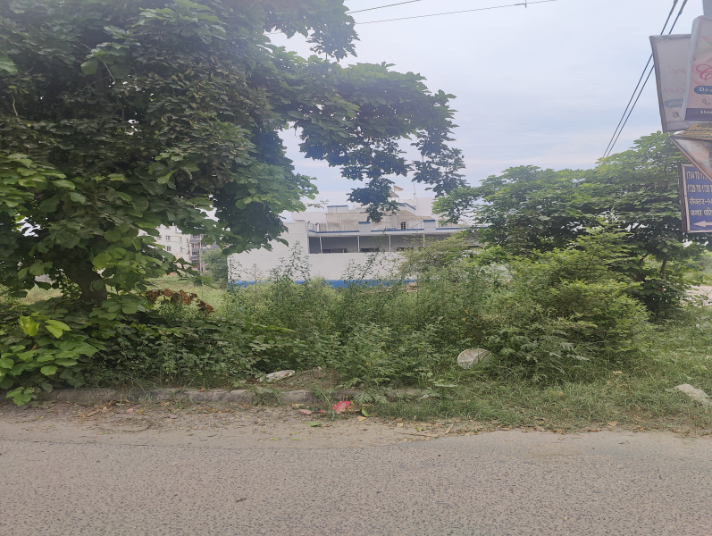500 Sq. Yards Residential Plot for Sale in Sector 11, Bahadurgarh