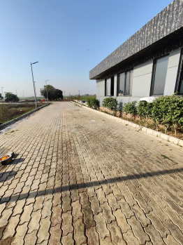 Property for sale in Sector 29 Bahadurgarh