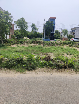 Residential Plot for Sale in Sector 10, Bahadurgarh (193.75 Sq. Yards)
