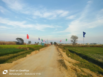 Residential Plot for Sale in Sector 29, Bahadurgarh (150 Sq. Yards)
