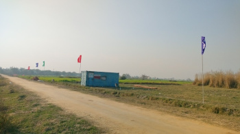 Property for sale in Sector 29 Bahadurgarh
