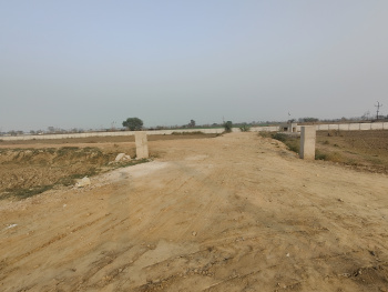 Property for sale in Sector 29 Bahadurgarh