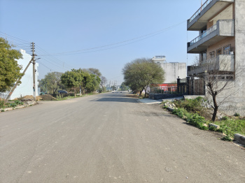 Residential plot in bahadurgarh Sectors