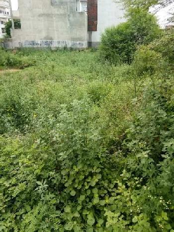 Residential Plot for Sale in Sector 9, Bahadurgarh (150 Sq. Yards)