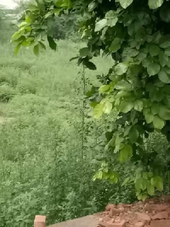 Residential Plot for Sale in Sector 13, Bahadurgarh (387 Sq. Yards)