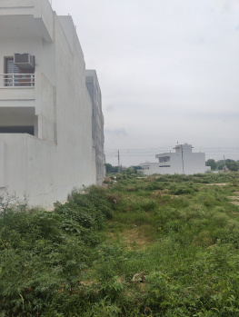 Residential Plot for Sale in Sector 13, Bahadurgarh (387 Sq. Yards)