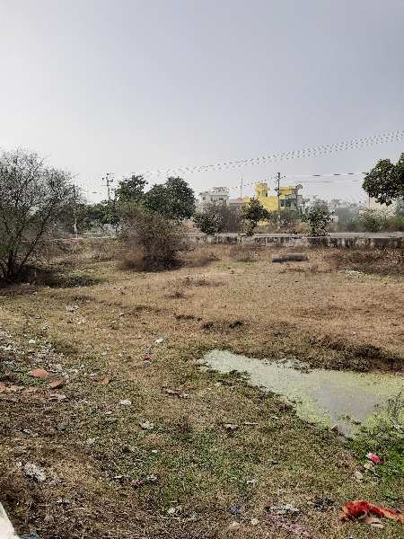 Residential Plot for Sale in Sector 9, Bahadurgarh (250 Sq. Yards)