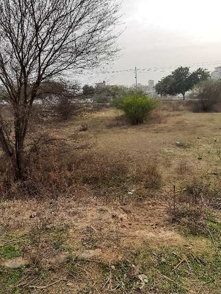 Residential Plot for Sale in Sector 9, Bahadurgarh (500 Sq. Yards)