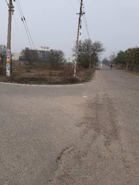 276 Sq. Yards Residential Plot for Sale in Sector 9, Bahadurgarh