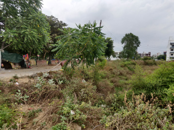 Residential Plot for Sale in Sector 13, Bahadurgarh (200 Sq. Yards)