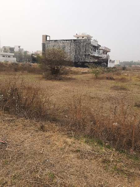 260 Sq. Yards Residential Plot for Sale in Sector 13, Bahadurgarh (263 Sq. Yards)