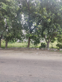 Property for sale in Sector 13 Bahadurgarh