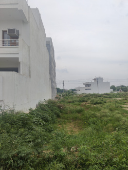 Residential Plot for Sale in Sector 13, Bahadurgarh (263 Sq. Yards)