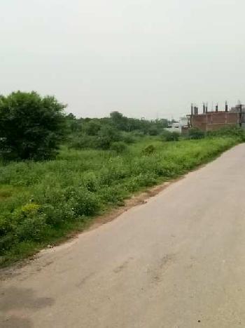 386 Sq. Yards Residential Plot for Sale in Sector 13, Bahadurgarh