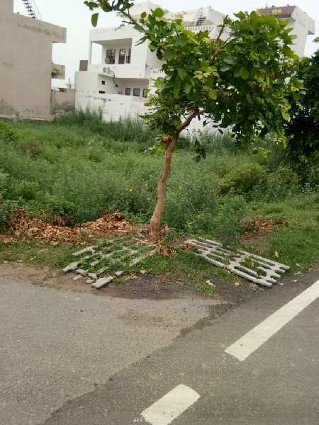 386 Sq. Yards Residential Plot For Sale In Sector 13, Bahadurgarh