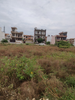 Residential Plot for Sale in Sector 13, Bahadurgarh (386 Sq. Yards)