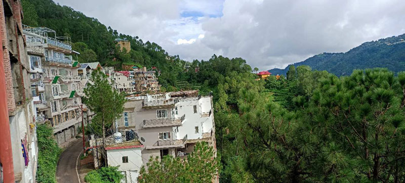 2 BHK Flats & Apartments for Rent in Barog, Solan (2000 Sq.ft.)