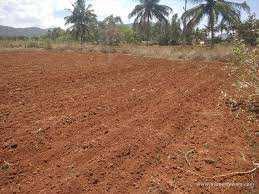 Agriculture Land For Sale In Ram Nagar, Sonipat