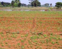 Agriculture Land For Sale In Ram Nagar, Sonipat