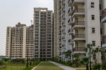 Flats & Apartments for Sale in Sector 70, Faridabad (1375 Sq.ft.)