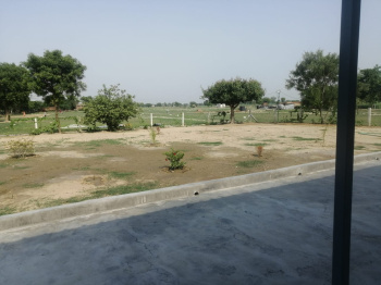 Residential Plot for Sale in Sector 8, Faridabad (250 Sq. Yards)