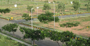 Residential Plot for Sale in Sector 21A, Faridabad (500 Sq. Yards)