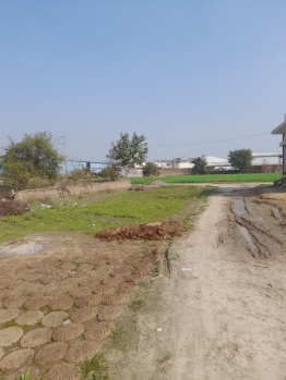 Residential Plot for Sale in Sector 46, Faridabad (360 Sq. Yards)