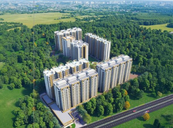 3 BHK Flats & Apartments for Sale in Sector 98, Faridabad (645 Sq.ft.)