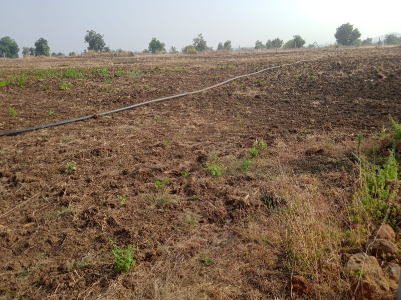 2.1 Acre Commercial Lands /Inst. Land for Sale in Sector 66, Mohali