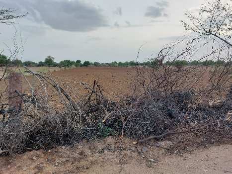 Property for sale in Pal Gaon, Jodhpur