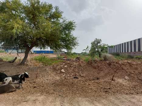 Property for sale in Salawas Road, Jodhpur