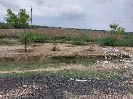 45 Bigha Agricultural/Farm Land for Sale in Sumerpur Pali, Pali